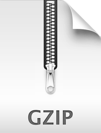 gzip icon